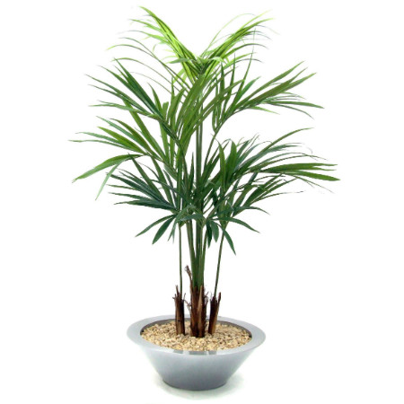 Kentia Palm in round tin bowl web image