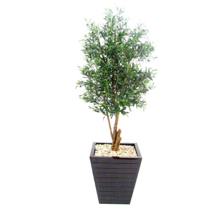 Olive Tree in plank planter web