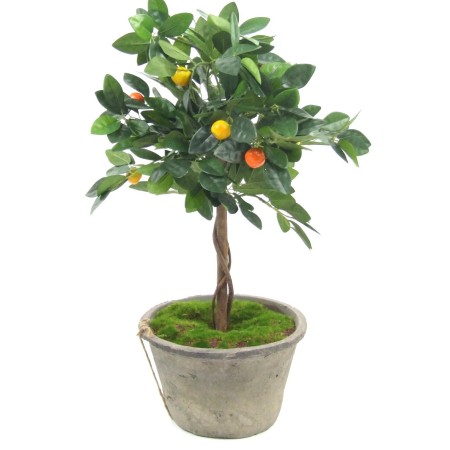 Small fruit topiary