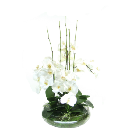 floating magnolia arrangement