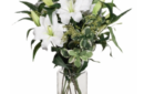 casablanca lillies white