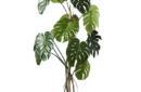 monstera tree (1)